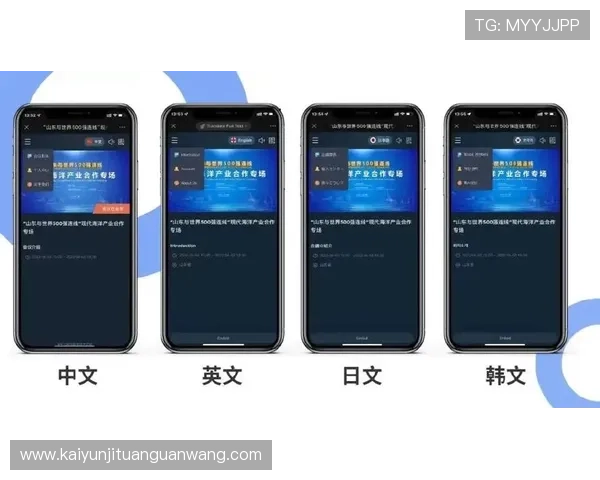深度解读开云中国在线登录的用户体验与评价
